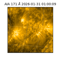 saia - 2026-01-31T01:00:09.349000