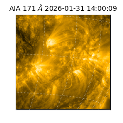 saia - 2026-01-31T14:00:09.350000