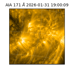 saia - 2026-01-31T19:00:09.350000