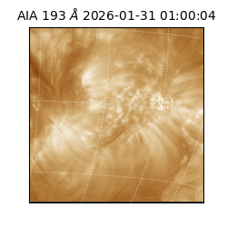 saia - 2026-01-31T01:00:04.846000