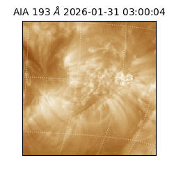 saia - 2026-01-31T03:00:04.843000