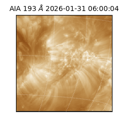 saia - 2026-01-31T06:00:04.843000