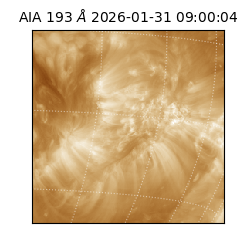 saia - 2026-01-31T09:00:04.843000