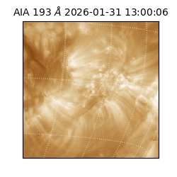 saia - 2026-01-31T13:00:06.937000