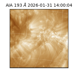 saia - 2026-01-31T14:00:04.843000