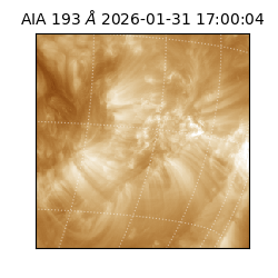 saia - 2026-01-31T17:00:04.843000