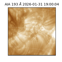 saia - 2026-01-31T19:00:04.843000