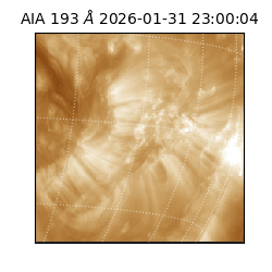 saia - 2026-01-31T23:00:04.843000