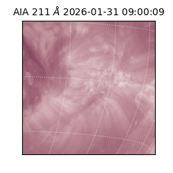 saia - 2026-01-31T09:00:09.626000