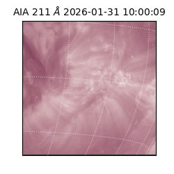 saia - 2026-01-31T10:00:09.622000