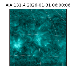 saia - 2026-01-31T06:00:06.622000