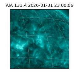 saia - 2026-01-31T23:00:06.622000