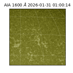 saia - 2026-01-31T01:00:14.125000