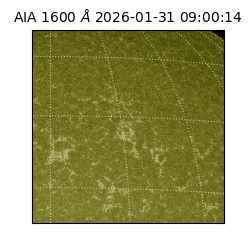 saia - 2026-01-31T09:00:14.125000