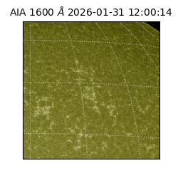 saia - 2026-01-31T12:00:14.126000