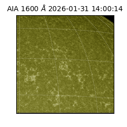 saia - 2026-01-31T14:00:14.126000