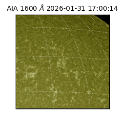 saia - 2026-01-31T17:00:14.126000