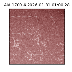 saia - 2026-01-31T01:00:28.721000