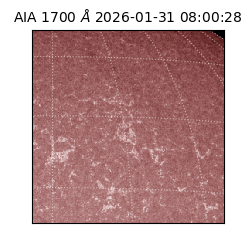 saia - 2026-01-31T08:00:28.713000