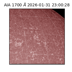 saia - 2026-01-31T23:00:28.717000