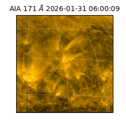 saia - 2026-01-31T06:00:09.349000