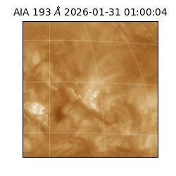 saia - 2026-01-31T01:00:04.846000