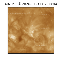 saia - 2026-01-31T02:00:04.846000