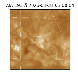 saia - 2026-01-31T03:00:04.843000