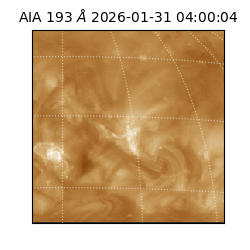 saia - 2026-01-31T04:00:04.843000