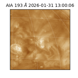 saia - 2026-01-31T13:00:06.937000