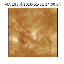 saia - 2026-01-31T14:00:04.843000