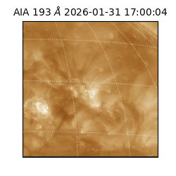 saia - 2026-01-31T17:00:04.843000