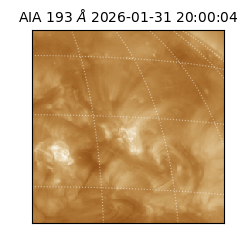 saia - 2026-01-31T20:00:04.843000