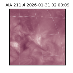 saia - 2026-01-31T02:00:09.626000