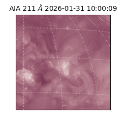 saia - 2026-01-31T10:00:09.622000