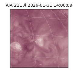 saia - 2026-01-31T14:00:09.626000