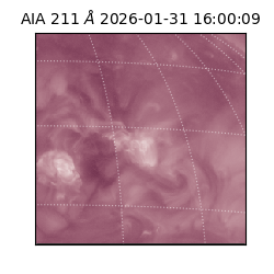 saia - 2026-01-31T16:00:09.626000