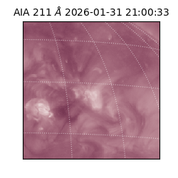 saia - 2026-01-31T21:00:33.629000