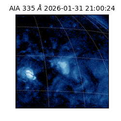 saia - 2026-01-31T21:00:24.622000