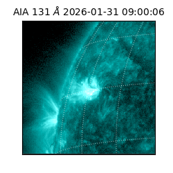 saia - 2026-01-31T09:00:06.625000