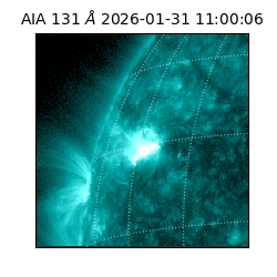 saia - 2026-01-31T11:00:06.622000