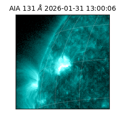 saia - 2026-01-31T13:00:06.638000