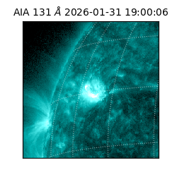 saia - 2026-01-31T19:00:06.622000