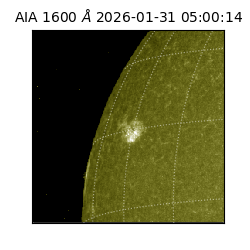 saia - 2026-01-31T05:00:14.126000