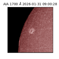 saia - 2026-01-31T09:00:28.717000