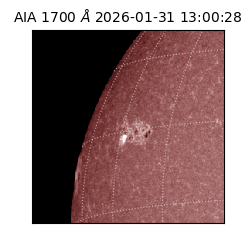 saia - 2026-01-31T13:00:28.720000