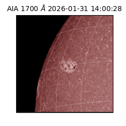 saia - 2026-01-31T14:00:28.721000