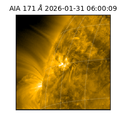 saia - 2026-01-31T06:00:09.349000