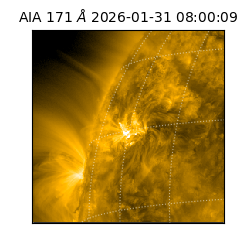 saia - 2026-01-31T08:00:09.350000