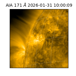 saia - 2026-01-31T10:00:09.350000
